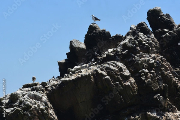 Obraz Upwards with nature