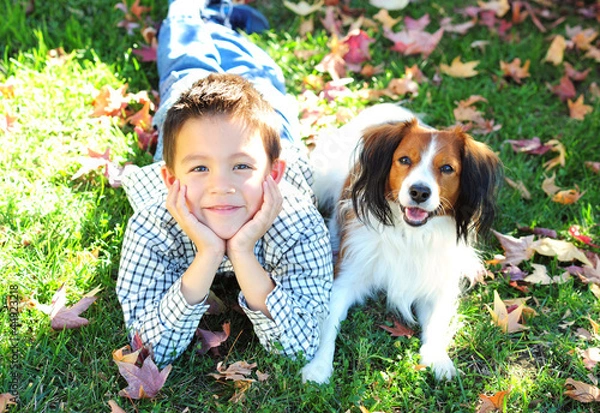Fototapeta Young Boy and a Dog Lying on the Grass