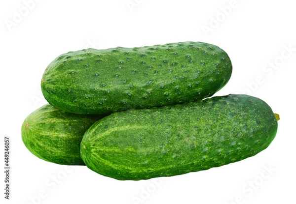 Fototapeta three fresh cucumbers isolated on white background.