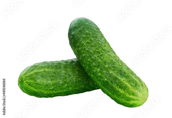Fototapeta Two fresh cucumbers isolated on white background.
