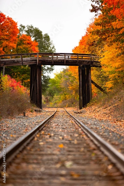 Fototapeta An old wooden bridge sits over railroad tracks surrounded by orange and yellow fall color trees in autumn_04