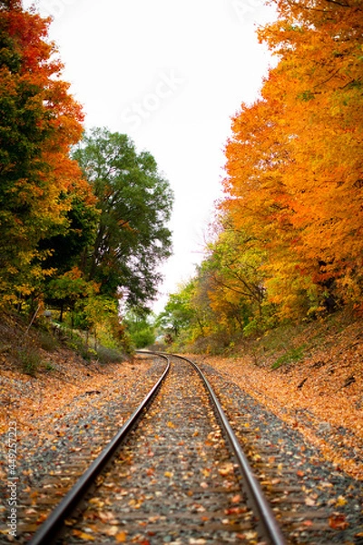 Fototapeta Railroad tracks in the middle of nowhere cutting through fall colored autumn trees changing colors_09