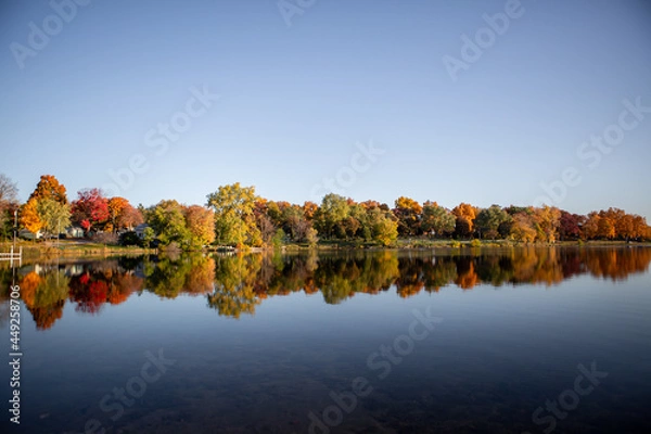 Fototapeta Fall colored leaves on autumn trees in a forest reflecting on a lake during golden hour in the midwest_20