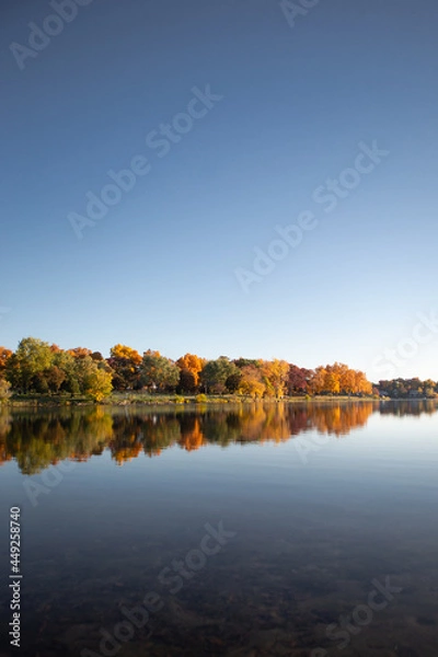 Fototapeta Fall colored leaves on autumn trees in a forest reflecting on a lake during golden hour in the midwest_17