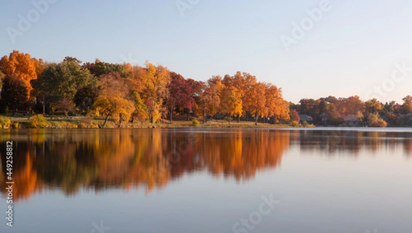 Fototapeta Fall colored leaves on autumn trees in a forest reflecting on a lake during golden hour in the midwest_13