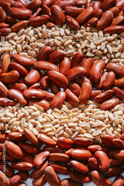 Obraz Close up of Red beans and farro