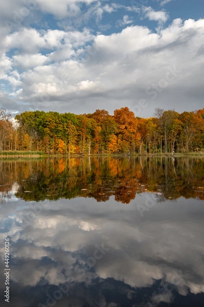Fototapeta Fall colored leaves on autumn trees in a forest reflecting on a lake during golden hour in the midwest_01
