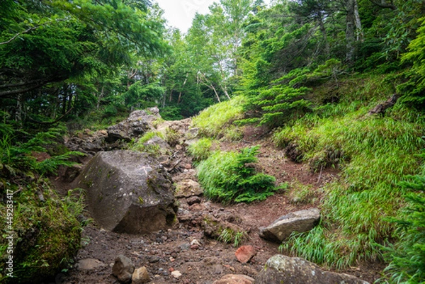 Obraz 栃木県日光市の男体山に登山している風景  A view of climbing Mt. Ottai in Nikko City, Tochigi Prefecture. 