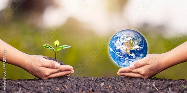 Fototapeta Exchange of planets in human hands and saplings in human hands-on soil concept and environmental conservation. Elements of this image furnished by NASA.