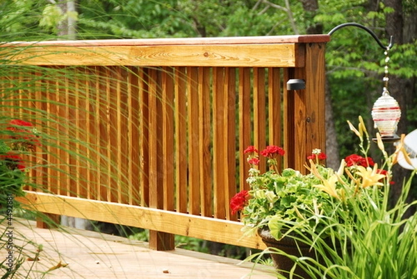 Fototapeta Grass Abstract