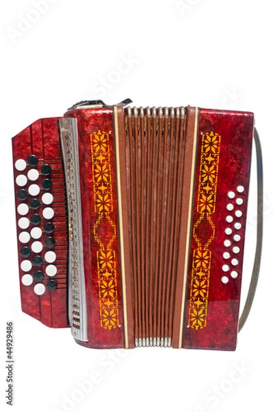 Obraz accordion_01