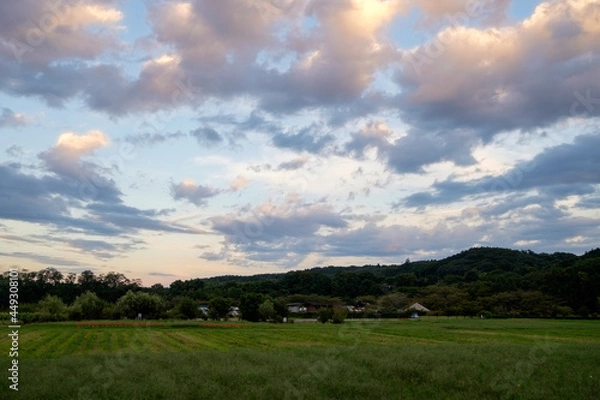 Fototapeta 田園風景