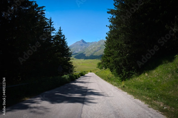 Obraz tree-lined road of campo imperatore abruzzo