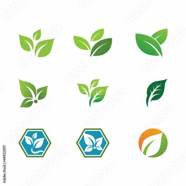 Fototapeta Leaf and Shutter Lens Aperture for Nature Photographer logo design inspiration