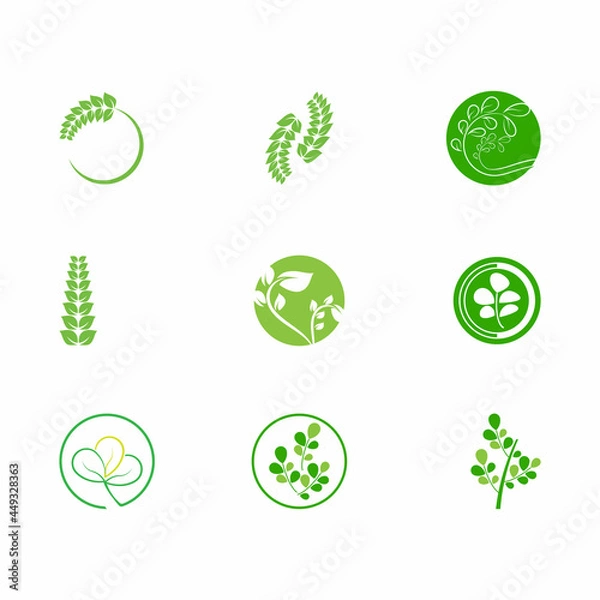 Obraz Leaf and Shutter Lens Aperture for Nature Photographer logo design inspiration