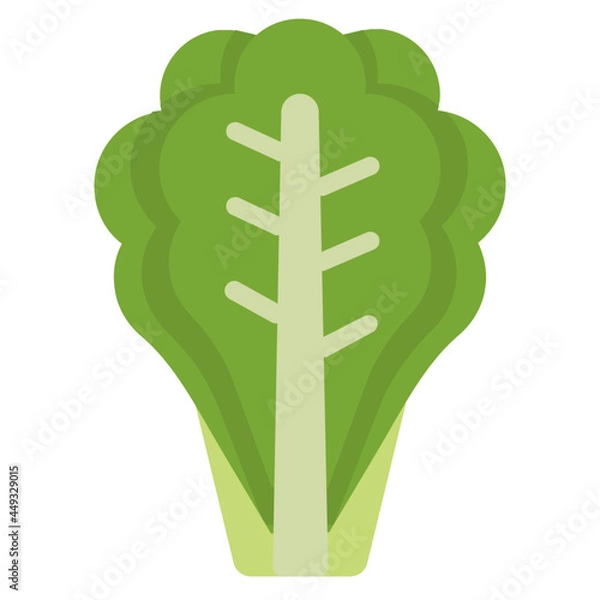 Fototapeta lettuce flat icon
