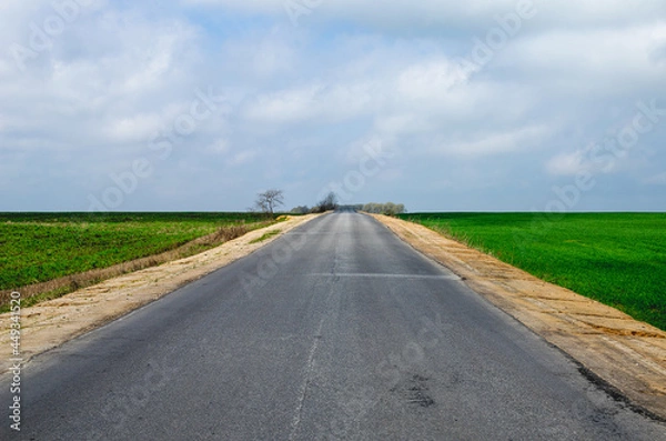 Obraz The road passes through fields of green winter wheat on both sides. The paved road goes beyond the horizon, on which no one drives
