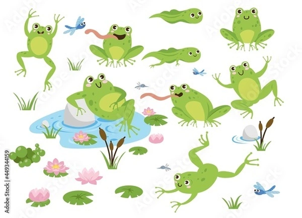 Fototapeta Cute frog cartoon characters vector illustrations set. Drawings of green toads jumping, sitting in pond with lotus, catching dragonflies isolated on white background. Animals, wildlife concept