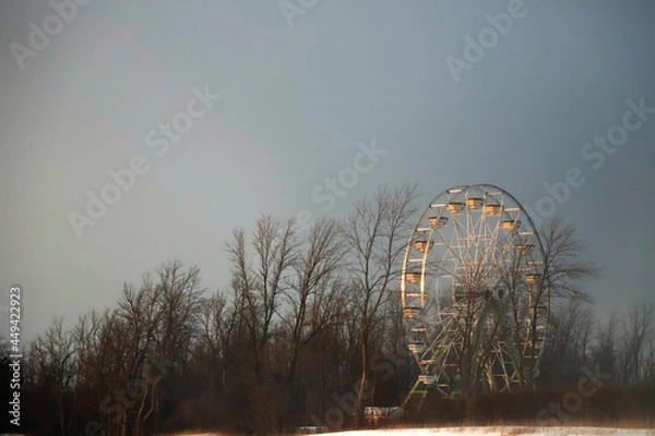 Obraz landscape with a tree