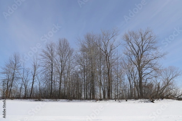 Obraz Snow Covered Lake