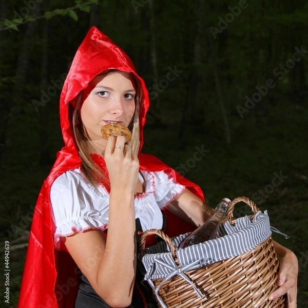 Obraz Le petit chaperon rouge