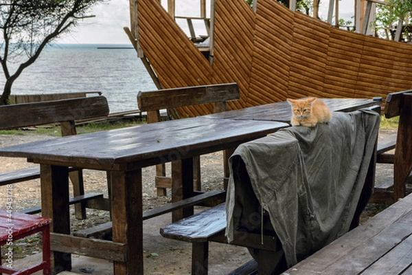 Fototapeta Ginger kitten lies on the back of a wooden bench next to a large wooden table on the street against the background of the sea