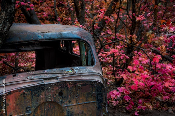 Fototapeta Old Relic in the Heart of Autumn