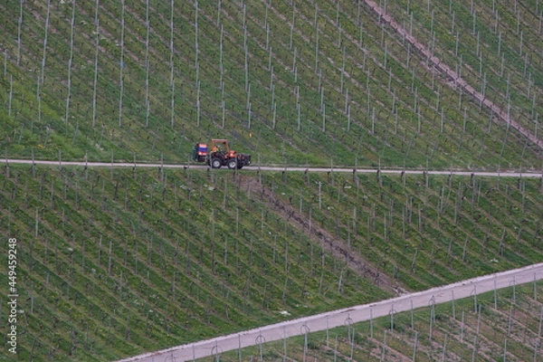 Obraz tractor on the vineyard