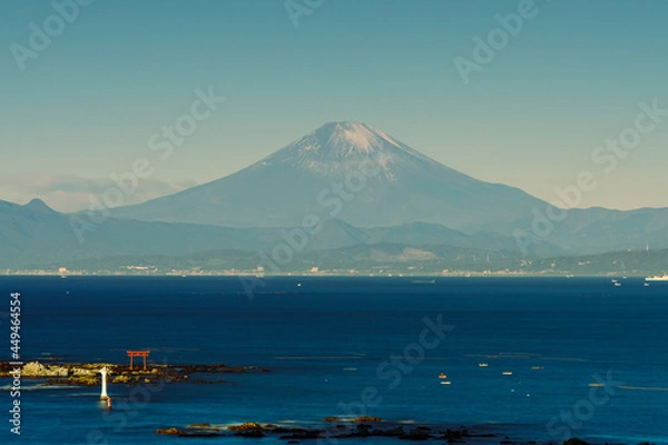 Fototapeta 高台から富士山を望む