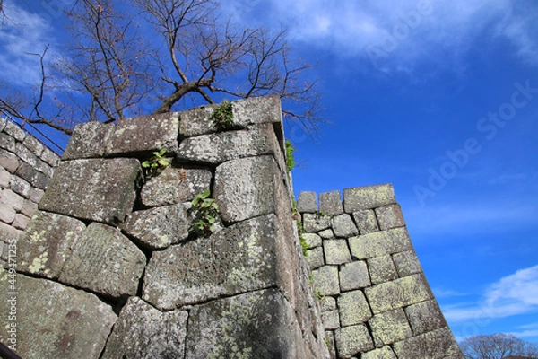 Fototapeta 小峰城（福島県・白河市）