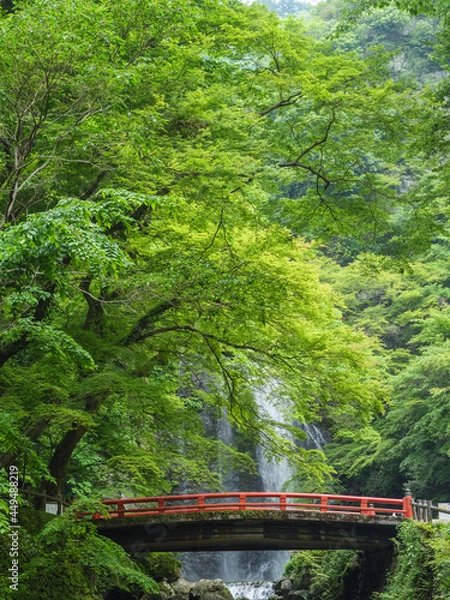 Obraz 箕面の大滝と朱色の橋