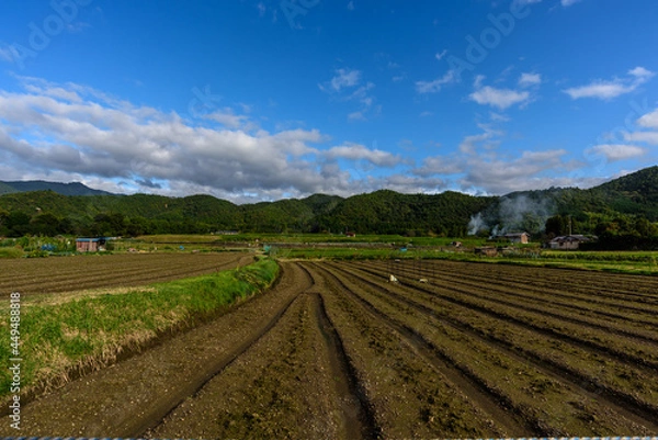 Fototapeta 嵯峨野の田園風景