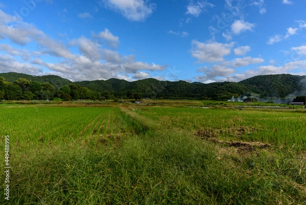 Obraz 嵯峨野の田園風景