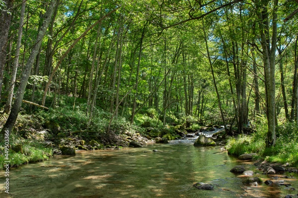 Obraz 梓川の景色／長野県川上村
