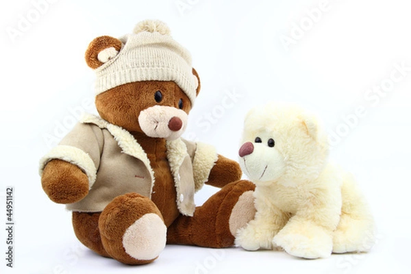 Obraz Two bears