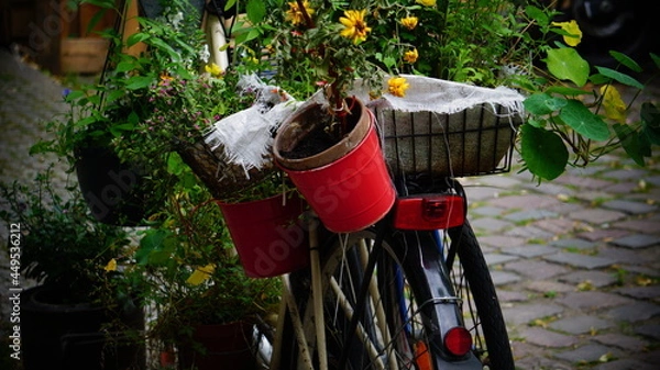 Obraz christmas decorations