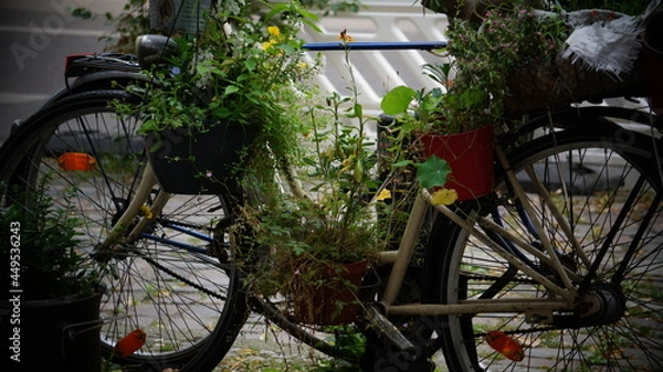 Obraz bicycle in the street