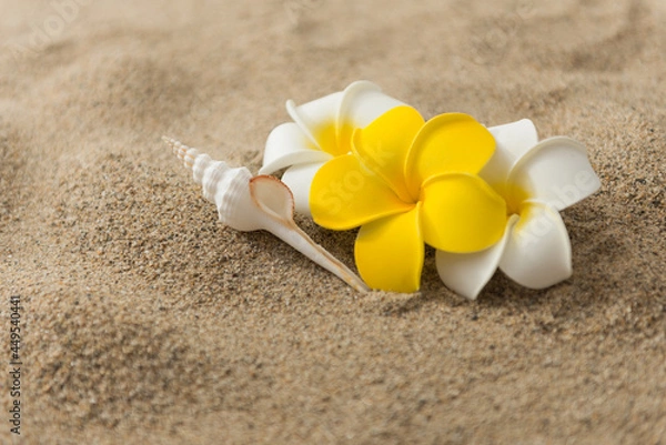 Fototapeta 砂浜とプルメリアの花