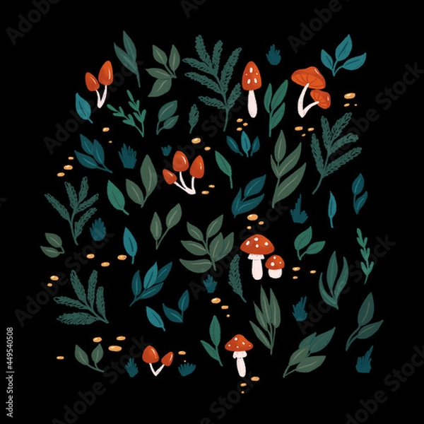 Obraz Isolated leaves and mushrooms on black background 