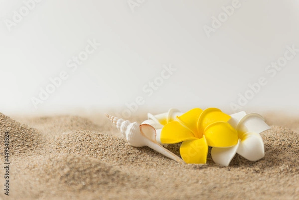 Fototapeta 砂浜とプルメリアの花