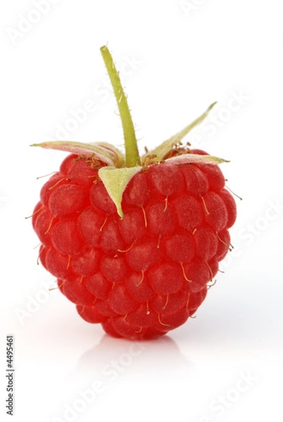 Obraz Raspberry fruit