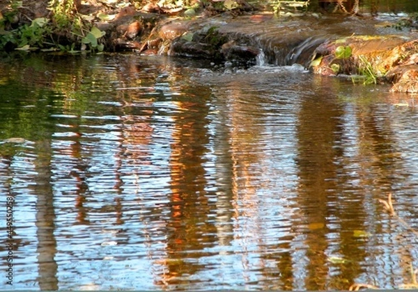 Fototapeta Reflection in a Stream