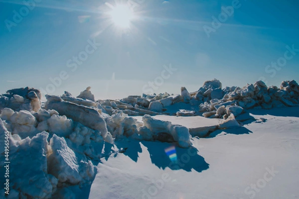Fototapeta snow covered trees