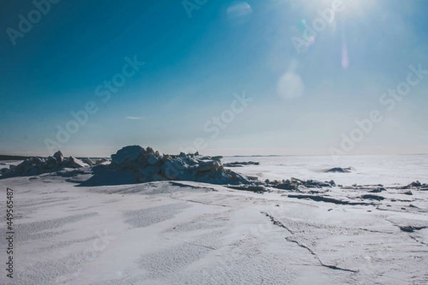 Fototapeta snow covered trees