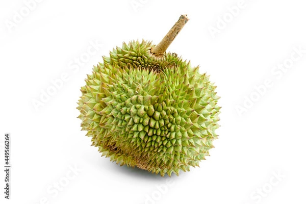 Fototapeta Durian is a fruit that has been referred to as the king of fruits of South East Asia. Durian on white background.