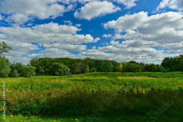 Fototapeta Green field in the woods of islands of Boucherville national park, Quebec, with cloudy sky and trees on a summer day