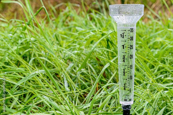 Obraz Full rain gauge in grass