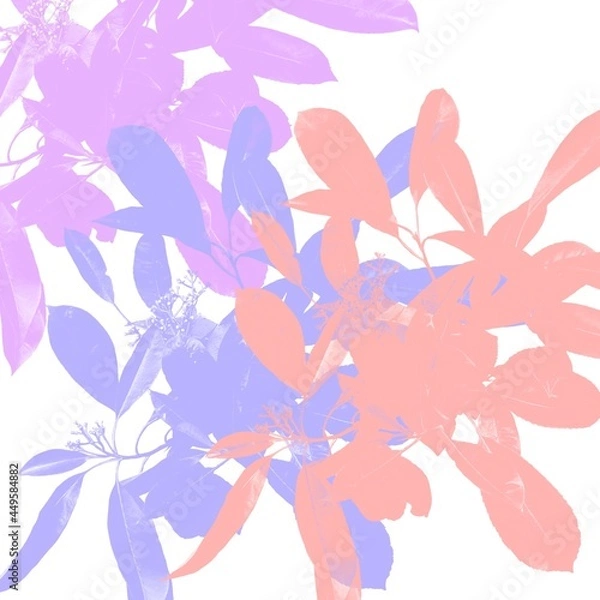 Obraz Abstract textured purple background