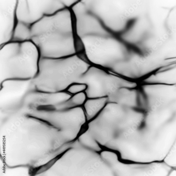 Obraz Abstract textured black and white background