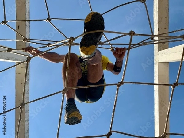 Fototapeta playing on the net